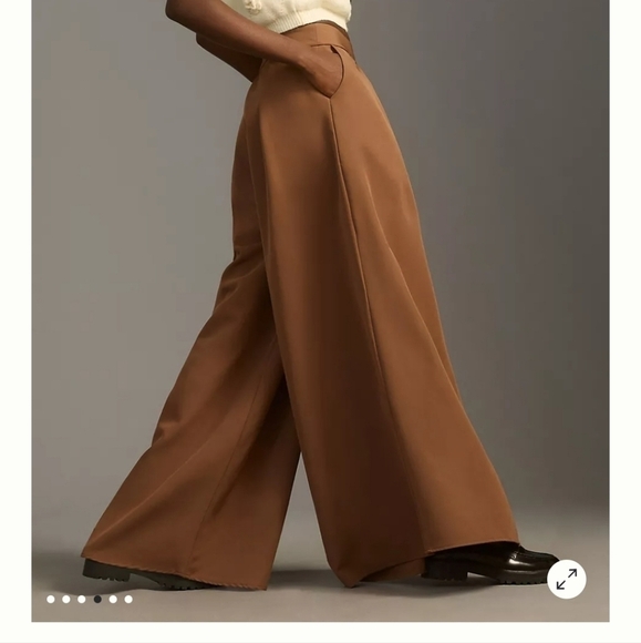 Amazing Brown Palazzo Pants from Anthropologie - Picture 4 of 13